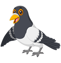 15.AaRON%20JUDGE.min