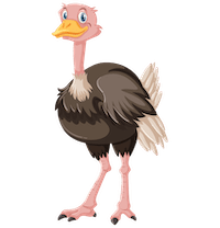 15.AaRON%20JUDGE.min